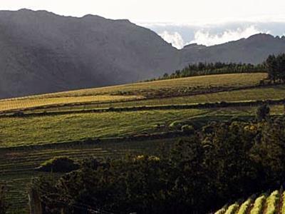 Mountain Cottages At Haskell Vineyard Στέλενμπος Εξωτερικό φωτογραφία