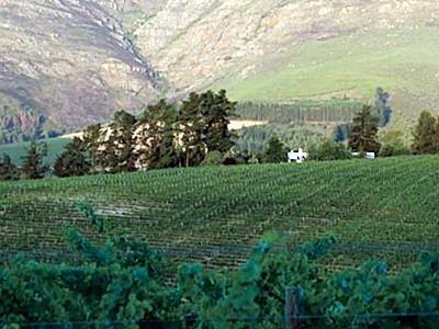 Mountain Cottages At Haskell Vineyard Στέλενμπος Εξωτερικό φωτογραφία